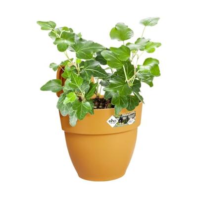 Elho Vibia Campana Small Hangpot geel - thumbnail