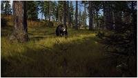 Way of the Hunter - thumbnail