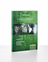 P14272/25 - thumbnail