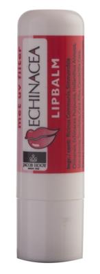 Jacob Hooy Lippenbalsem Echinacea