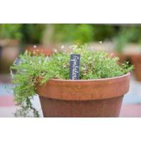 Leistenen plantetiketten set van 5 stuks - thumbnail