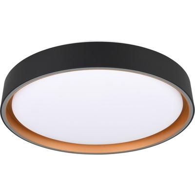 LED Plafondlamp 24W Rond - Dimbaar met Afstandsbediening - Zwart Goud