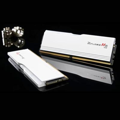 G.Skill F5-6000J3636F16GX2-RM5RW Werkgeheugenmodule voor PC DDR5 32 GB 2 x 16 GB 6000 MHz 288-pins DIMM F5-6000J3636F16GX2-RM5RW