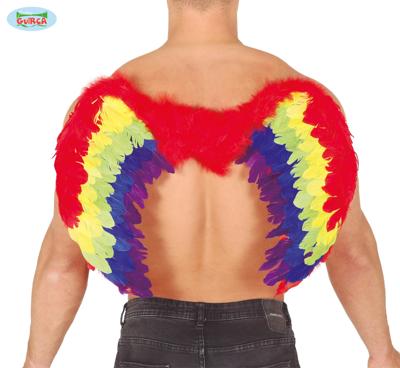 Regenboog vleugel 80x50cm