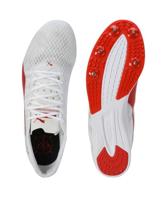PUMA evoSPEED Distance 11 Heren - thumbnail