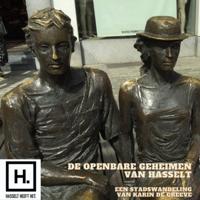 De openbare geheimen van Hasselt - thumbnail
