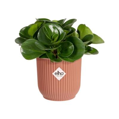 Elho Bloempot Vibes Fold Delicaat Roze Ø11cm