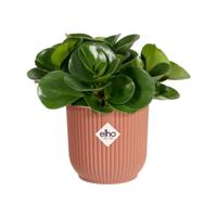 Vibes Fold Rond Mini dia 7 cm bloempot delicaat roze elho - Elho - thumbnail