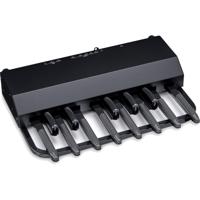 Hammond XPK-130G 13-tonig MIDI-baspedaal - thumbnail