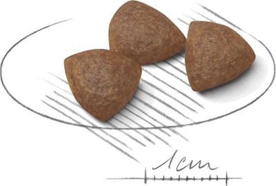 Royal Canin Medium Starter Mother and Babydog hondenvoer 2 x 12 kg Royal Canin Medium Starter Mother and Babydog hondenvoer 2 x 12 kg