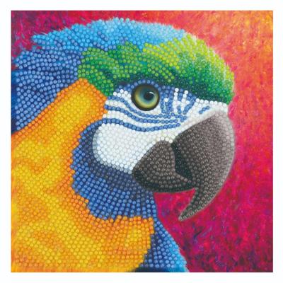 Diamond painting papegaai kaart maken Diamond painting papegaai kaart maken