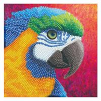 Diamond painting papegaai kaart maken - thumbnail