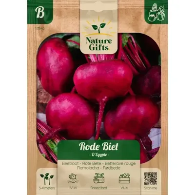 Rode biet egypte per 4m Rode biet egypte per 4m