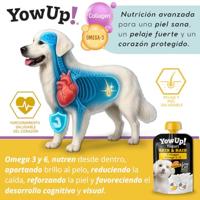 YowUp! YowUp! Skin & Hair Yoghurt voor honden, zalmsmaak, huid- en haarverzorging met omega 3 en collageen, 10 x 115 g, functionele hondensnack zonder lactose en suiker - thumbnail