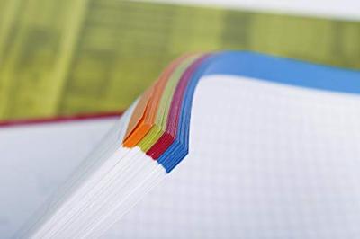 Clairefontaine 82123C Collegeblok Blauw DIN A4 Geruit Aantal paginas: 80