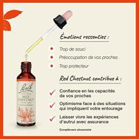 Bach Flower Remedies Rode Kastanje 25 - thumbnail