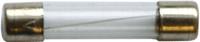 SPAHN glazen zekering glass fuses 8a 6x32 mm (10pcs) - thumbnail