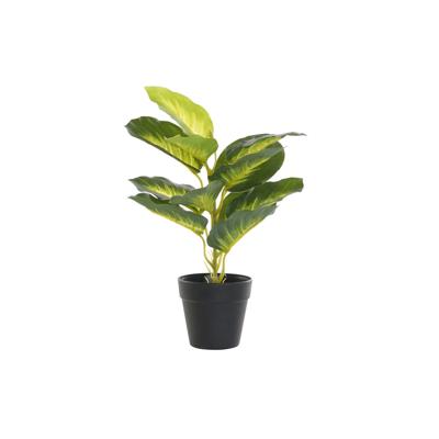Decoratieve plant DKD Home Decor PVC Polypropyleen 25 x 25 x 30 cm