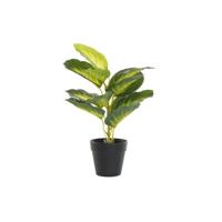 Decoratieve plant DKD Home Decor PVC Polypropyleen 25 x 25 x 30 cm - thumbnail