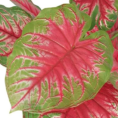 Kunstplant caladium met pot 85 cm groen en rood