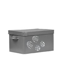 LABEL51 Schoenpoets Opbergkist - Grijs - Metaal - thumbnail