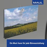 MAUL neodymium schijfmagneet, 16 mm, trekkracht 5 kg, voor glas- en whitebord, zilver, blister van 1 stuk - thumbnail