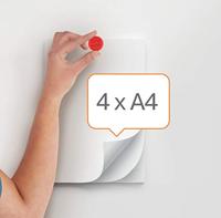 Nobo 1915293 schrijfbordaccessoire Bordmagneet - thumbnail
