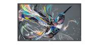 Philips Dis Public 50 compatibele 50BDL3511Q/00 Q-Line - thumbnail