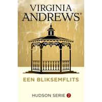 Een bliksemflits (Paperback) - thumbnail