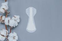 Natracare Panty Liners Tanga Inlegkruisjes - thumbnail