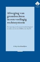 Afweging van grondrechten in een veellagig rechtssysteem - Marina den Houdijker - Paperback (9789058508805) - thumbnail