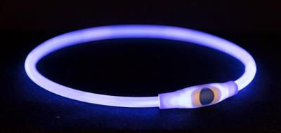 Flash lichthalsband 65 cm blauw voor de hond 1 stuk