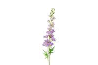 Decostar Delphinium Pacific XL 103 cm paars - thumbnail