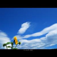 Marumi circ. pola filter super dhg 82 mm - thumbnail