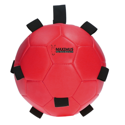 Maximus Fun Play Ball Red