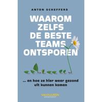 Waarom zelfs de beste teams ontsporen (Paperback) - thumbnail