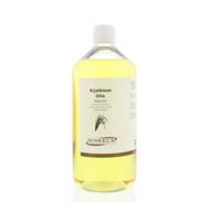 Ginkel's Rijstkiemolie 1 Liter - thumbnail