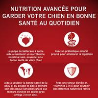 PURINA One Adult Medium/Maxi Sensitive Rich in salmon with rice - droog hondenvoer - 2,5kg - thumbnail