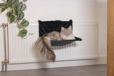 Beeztees Radiatorhangmat Sleepy Zwart