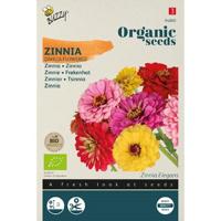 Zaden zinnia dahliabloemige 1.5 gram Organic Tuinplus - Tuinplus - thumbnail