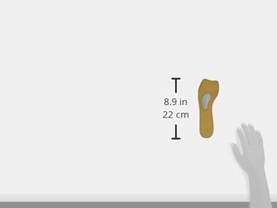 Pedag 121 Lady - alle