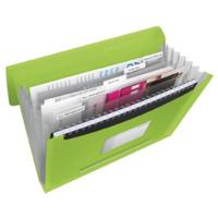 Esselte projectmap Vivida groen - thumbnail