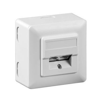RJ45 Wandcontactdoos Opbouw - 2x RJ45 - CAT-5e - Incl. Afdekraam - Afgeschermde Netwerkdoos - 10 Gigabit - Wit