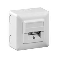 RJ45 Wandcontactdoos Opbouw - 2x RJ45 - CAT-5e - Incl. Afdekraam - Afgeschermde Netwerkdoos - 10 Gigabit - Wit - thumbnail