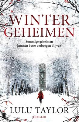 Wintergeheimen - Lulu Taylor - ebook