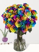 30 regenboog rozen - XL rozen - thumbnail