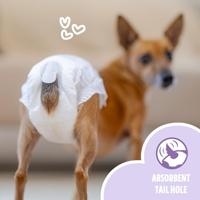 Easypets hondenluiers teef - thumbnail