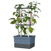 Gusta Garden - Charly Chili - Chiliplanter met watertank - thumbnail