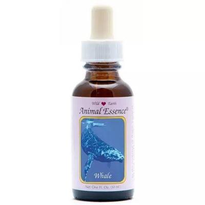 Animal Essences Whale (walvis) 30 Milliliter