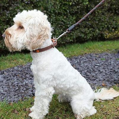 Rosewood hondenriem touw rood / zwart